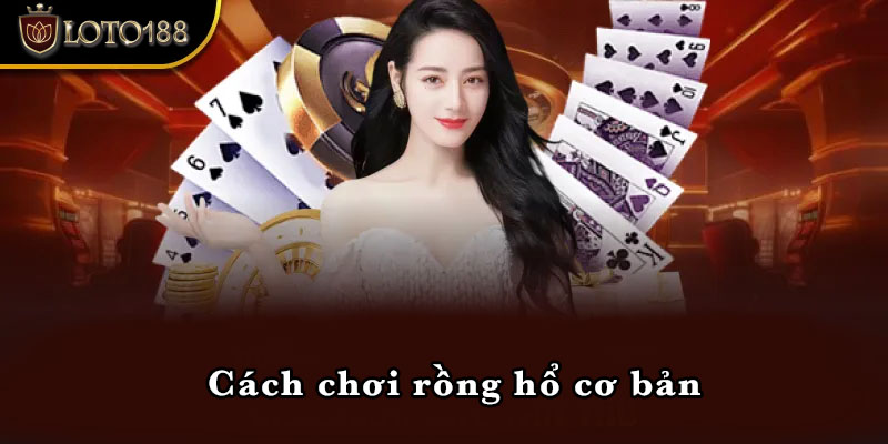 Cách chơi rồng hổ cơ bản