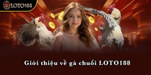 Giới thiệu về gà chuối LOTO188