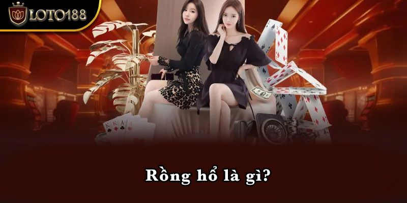 Rồng hổ là gì?