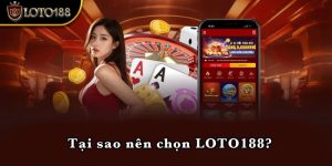 Tại sao nên chọn LOTO188?